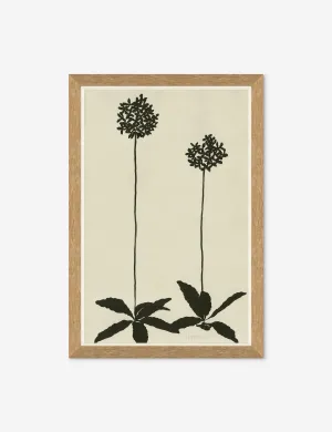 Allium Wall Art by Susan Hable Lulu and Georgia