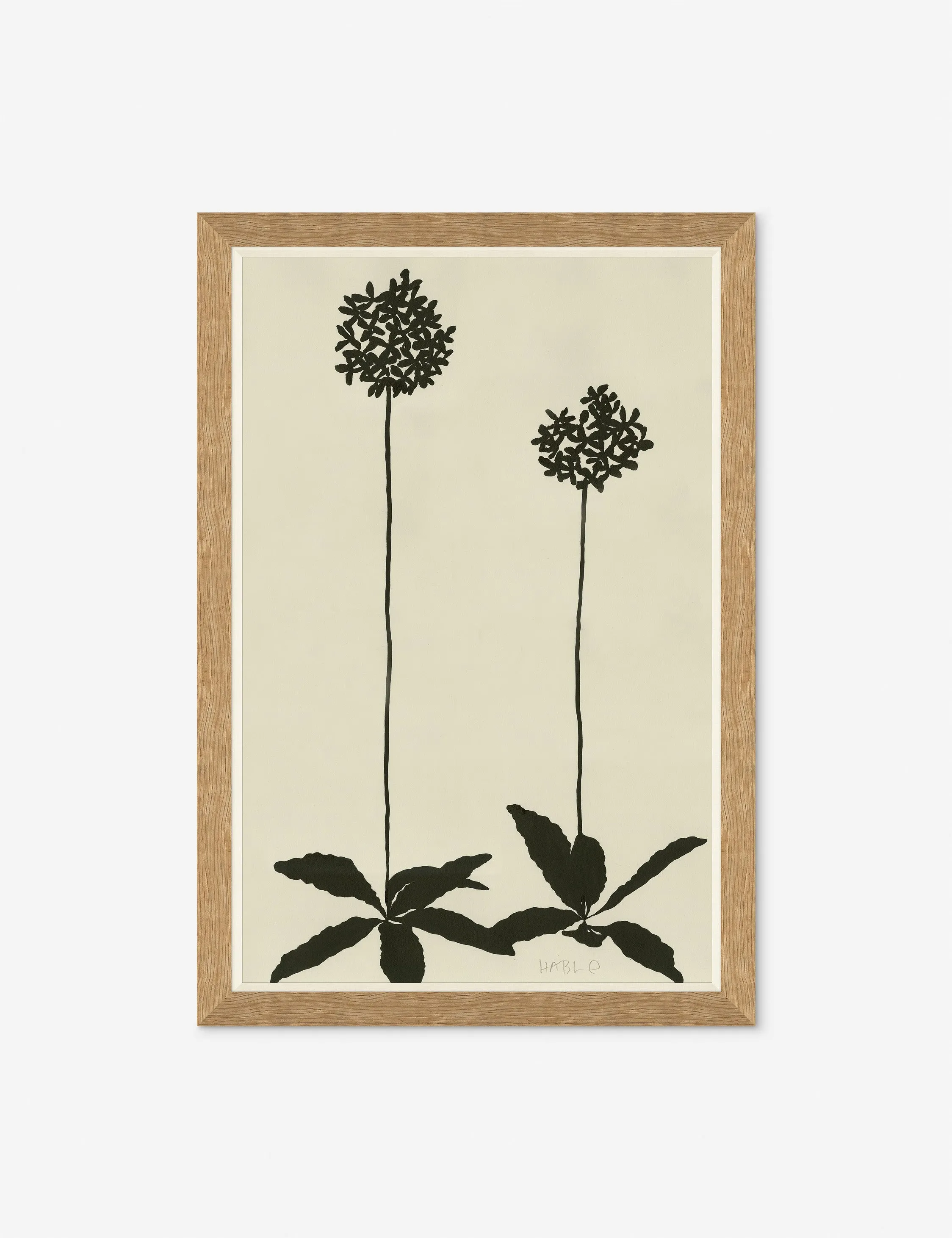 Allium Wall Art by Susan Hable Lulu and Georgia