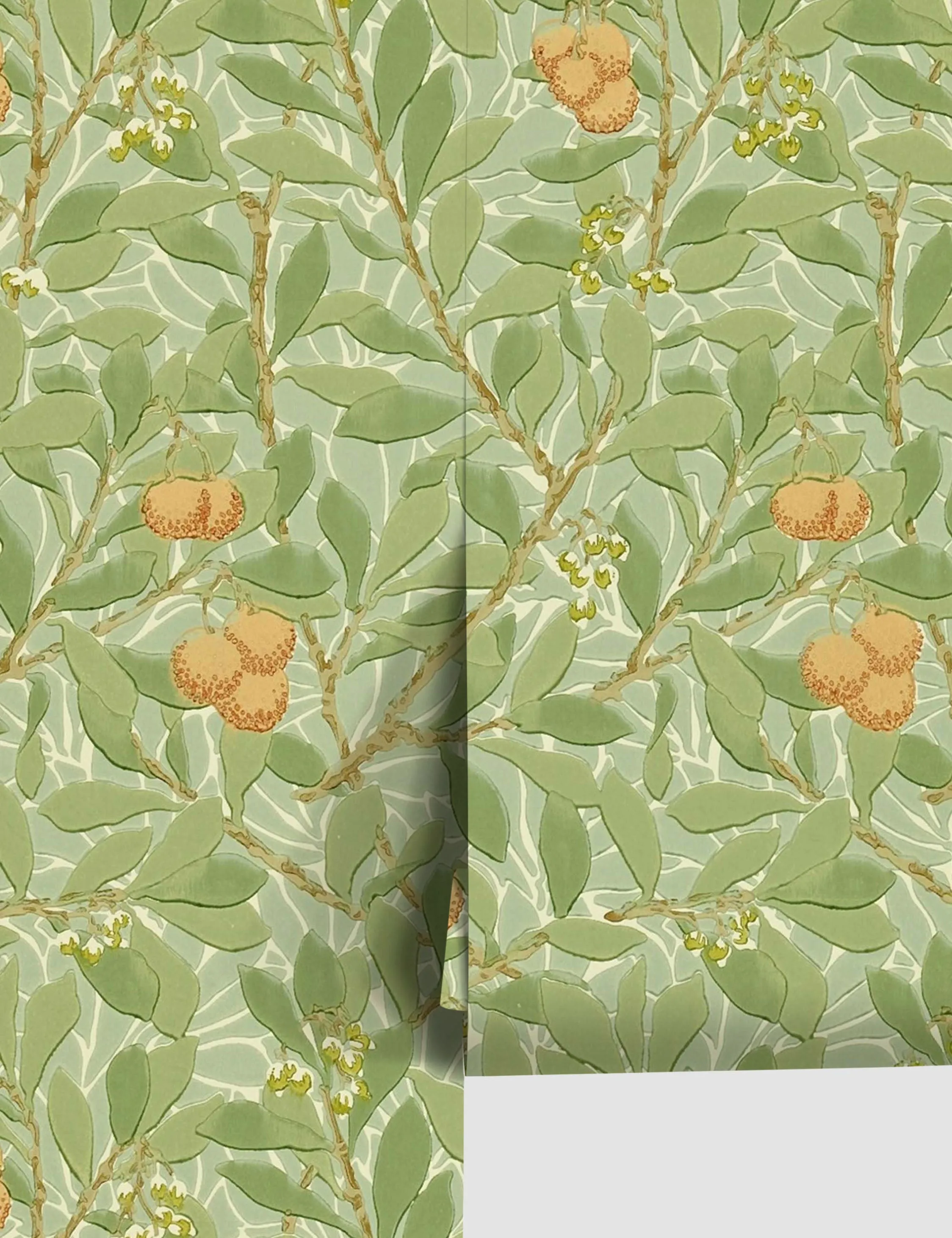 Arbutus Wallpaper by Morris & Co. Lulu and Georgia