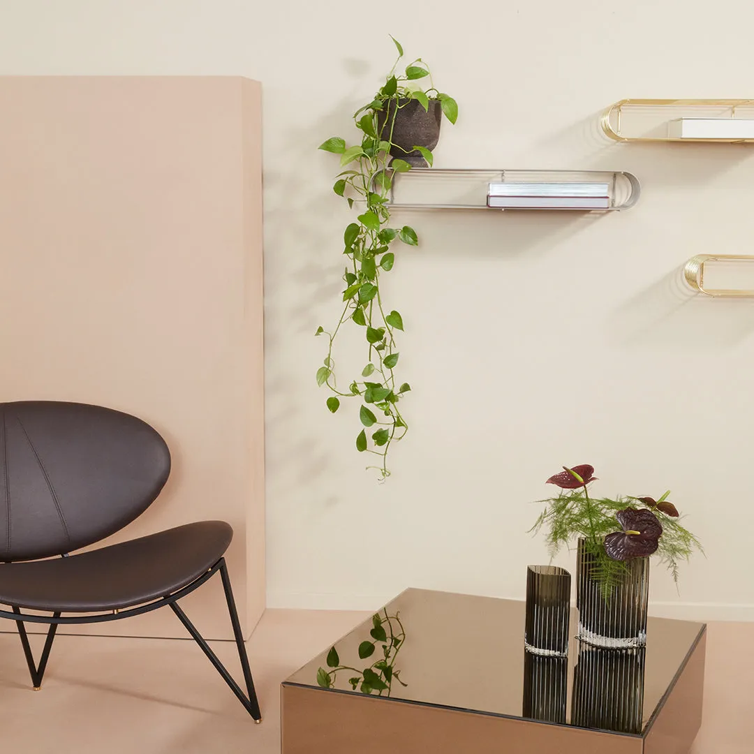 Curva Wall Shelf