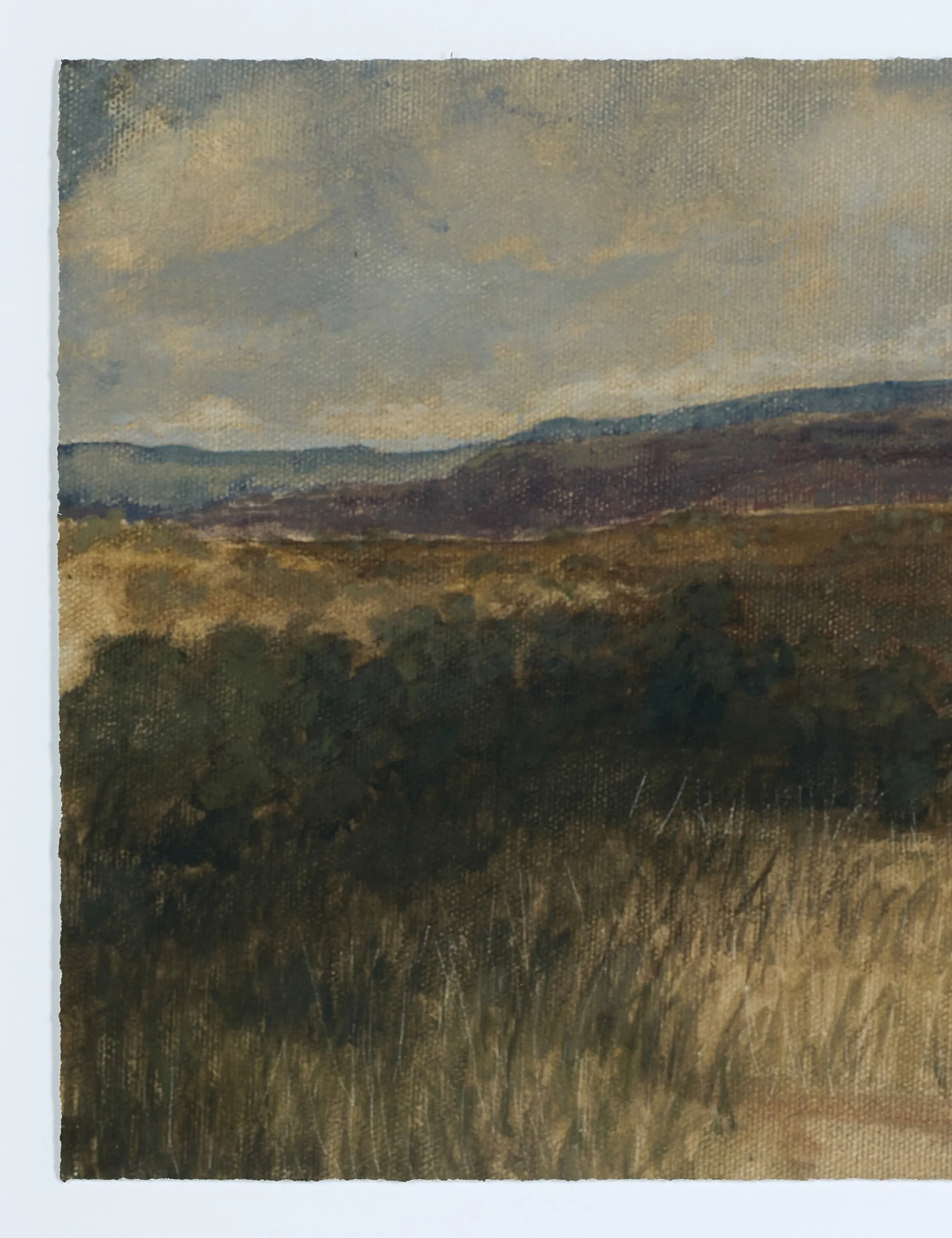 Desert Hues I by Aileen Fitzgerald Lulu and Georgia