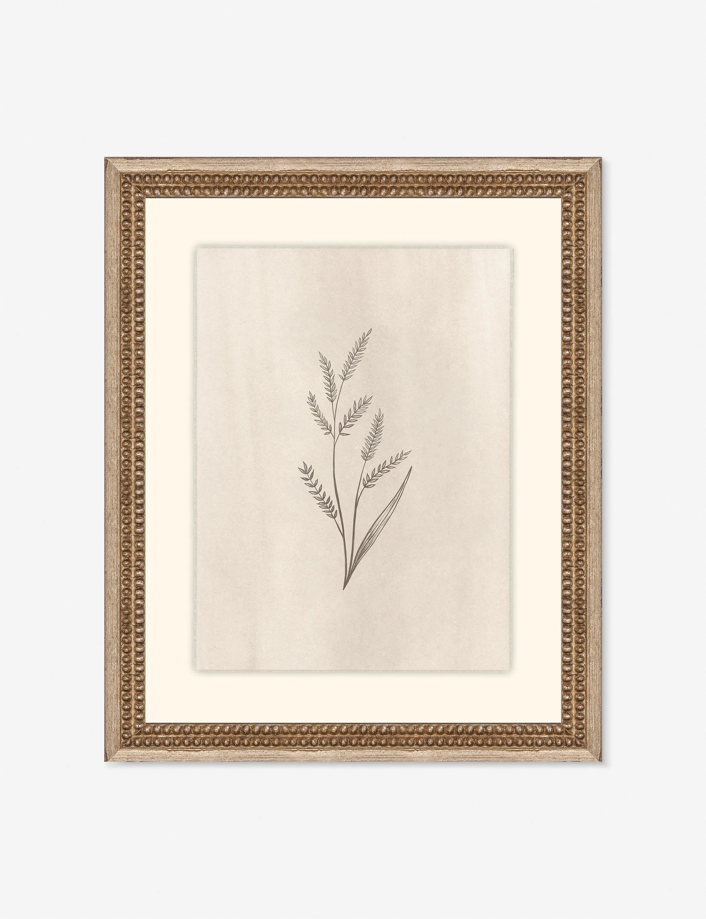 Elegant Botanical II Wall Art by Makai Howell Lulu and Georgia
