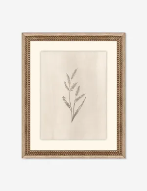 Elegant Botanical II Wall Art by Makai Howell Lulu and Georgia