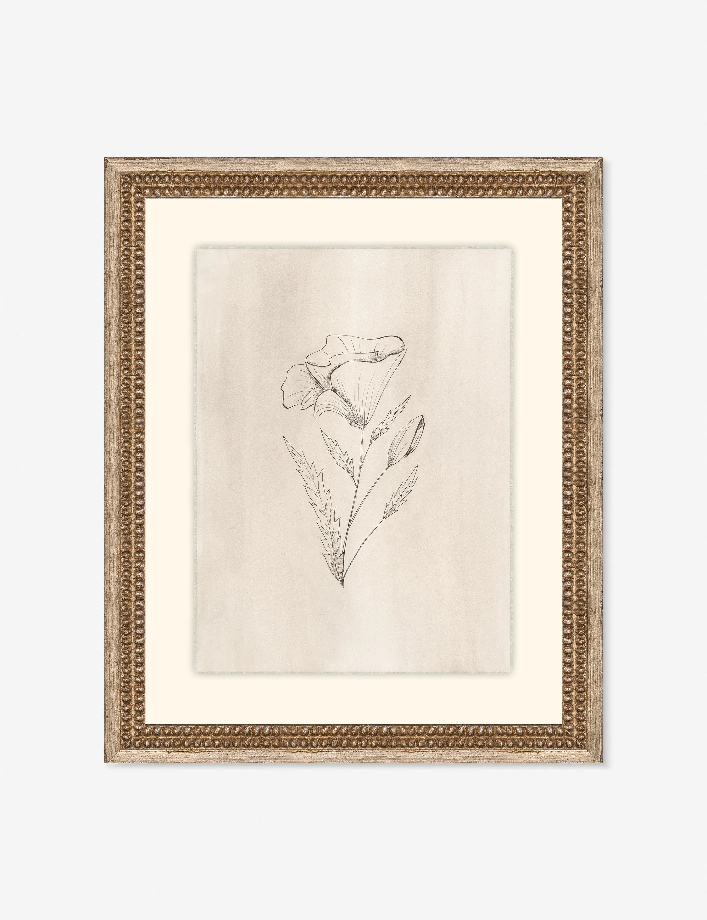 Elegant Botanical III Wall Art by Makai Howell Lulu and Georgia