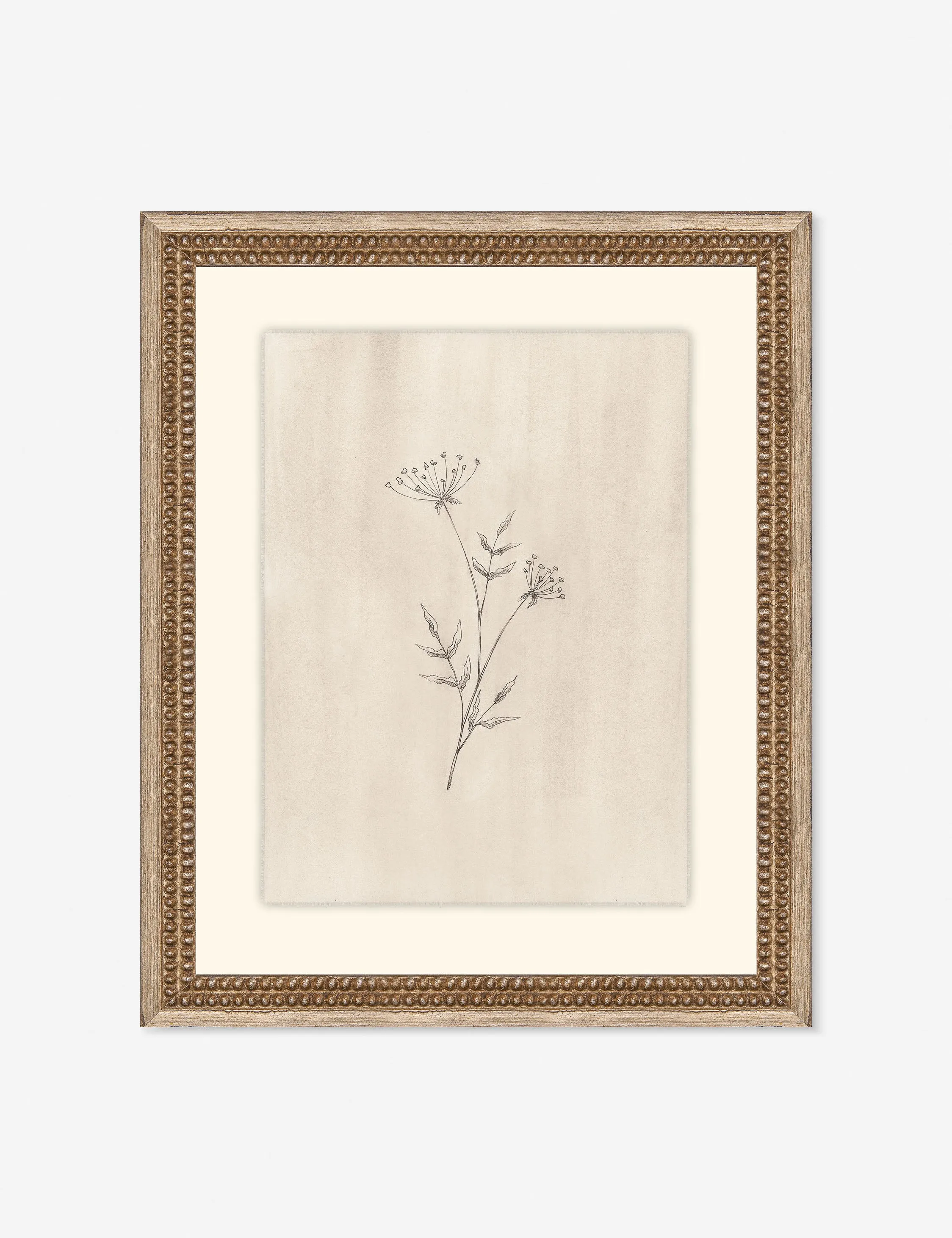 Elegant Botanical IV Wall Art by Makai Howell Lulu and Georgia