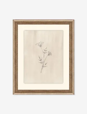 Elegant Botanical IV Wall Art by Makai Howell Lulu and Georgia