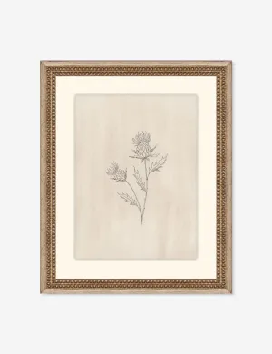 Elegant Botanical V Wall Art by Makai Howell Lulu and Georgia