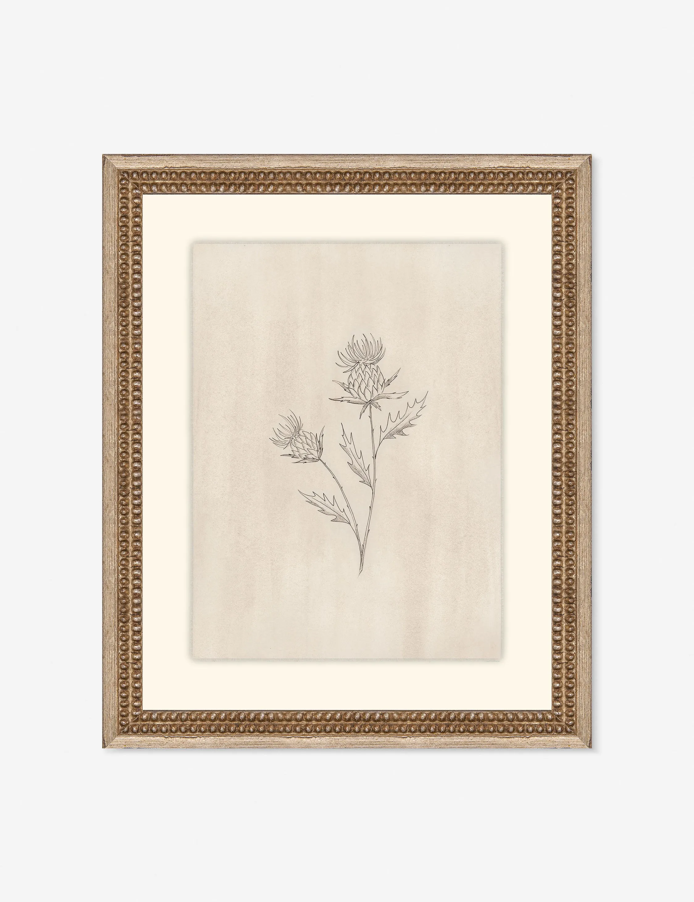 Elegant Botanical V Wall Art by Makai Howell Lulu and Georgia