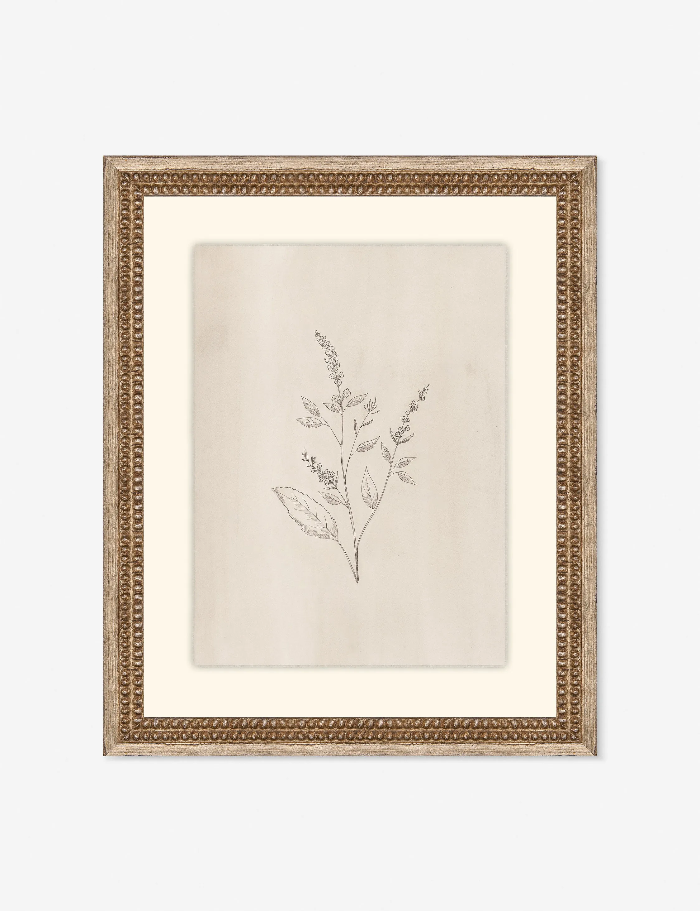 Elegant Botanical VI Wall Art by Makai Howell Lulu and Georgia