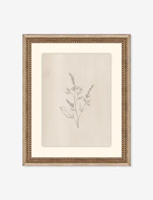 Elegant Botanical VI Wall Art by Makai Howell Lulu and Georgia