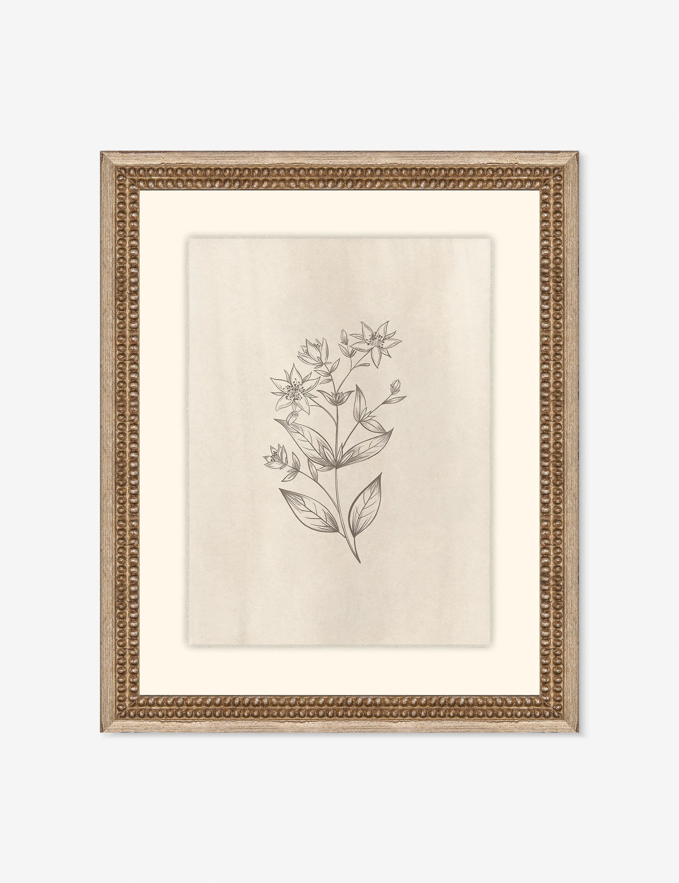 Elegant Botanical VII Wall Art by Makai Howell Lulu and Georgia