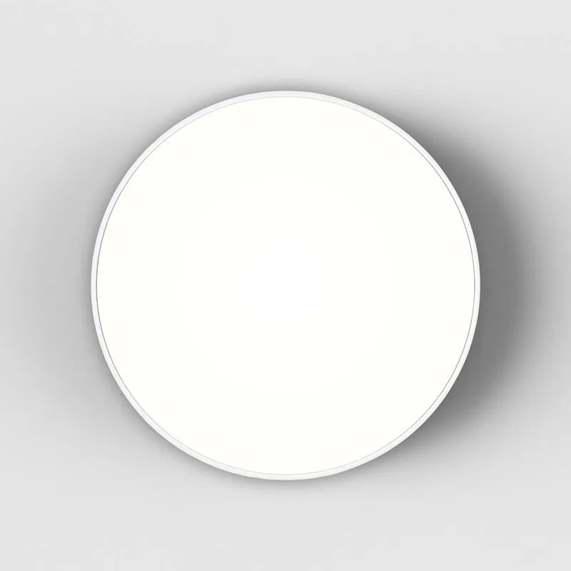 Febe Ceiling / Wall Light