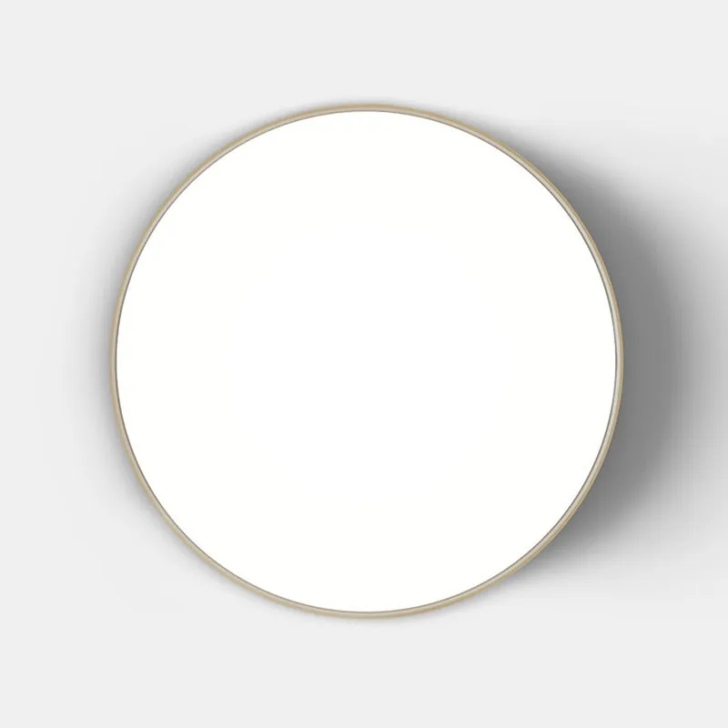 Febe Ceiling / Wall Light
