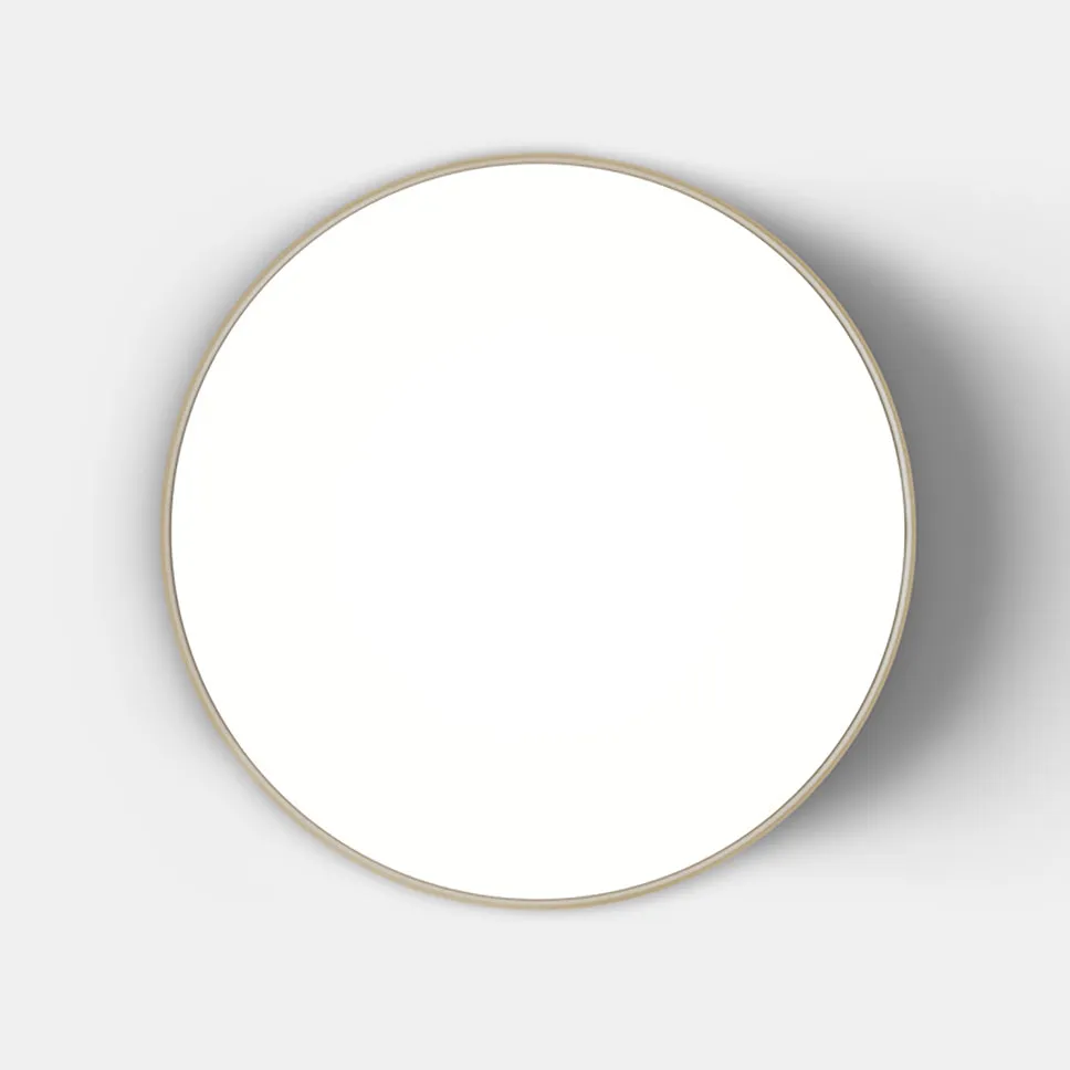 Febe Ceiling / Wall Light