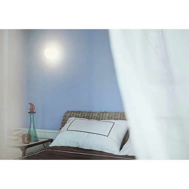 Flos Mini Glo Ball Wall/Ceiling Lamp