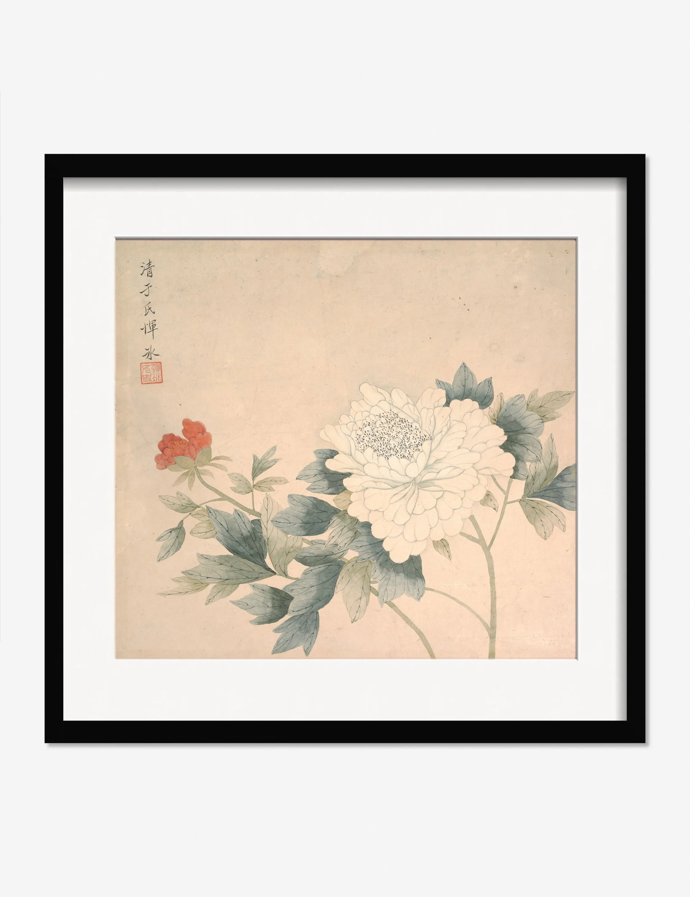 Flower Study 2 Print by Yun Bing Lulu and Georgia