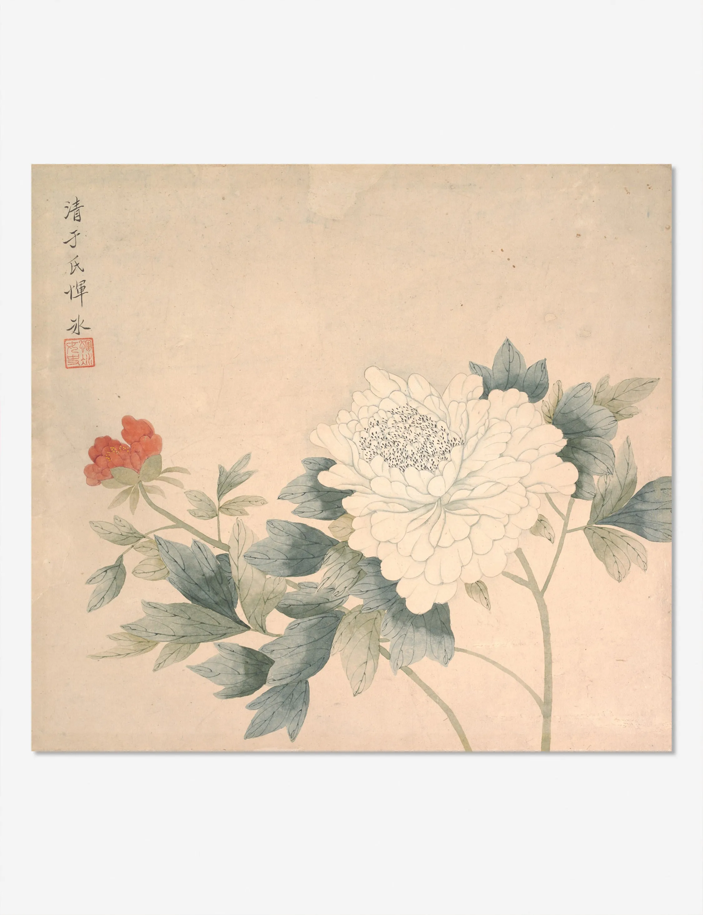 Flower Study 2 Print by Yun Bing Lulu and Georgia