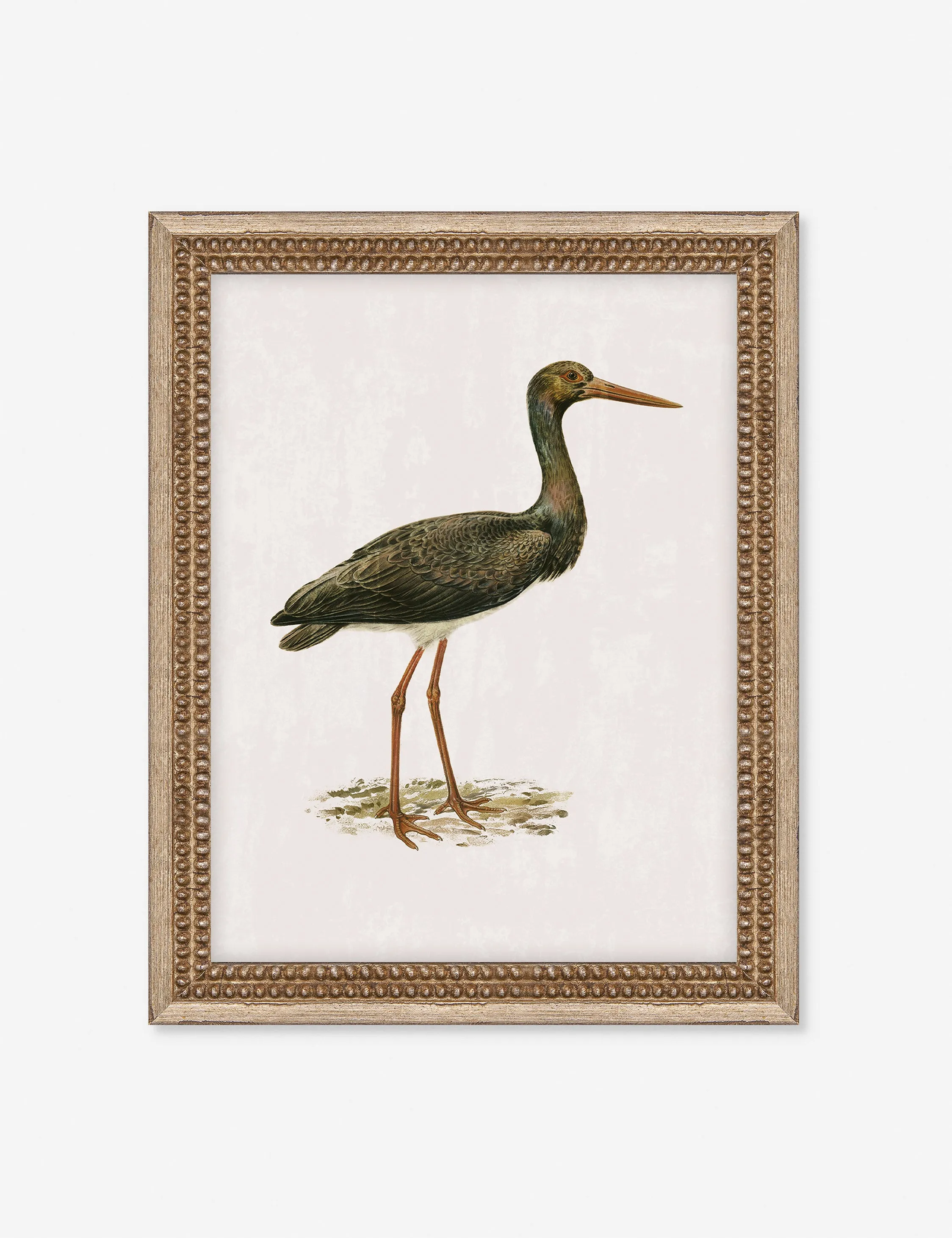 Heron Friend I Wall Art by Old World Lulu and Georgia