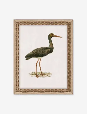 Heron Friend I Wall Art by Old World Lulu and Georgia