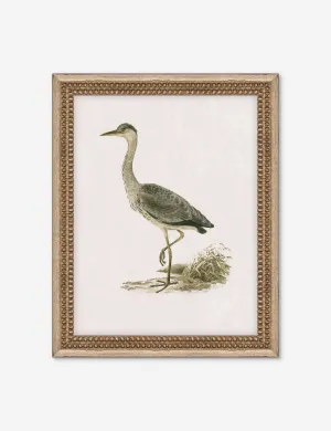 Heron Friend II Wall Art by Old World Lulu and Georgia