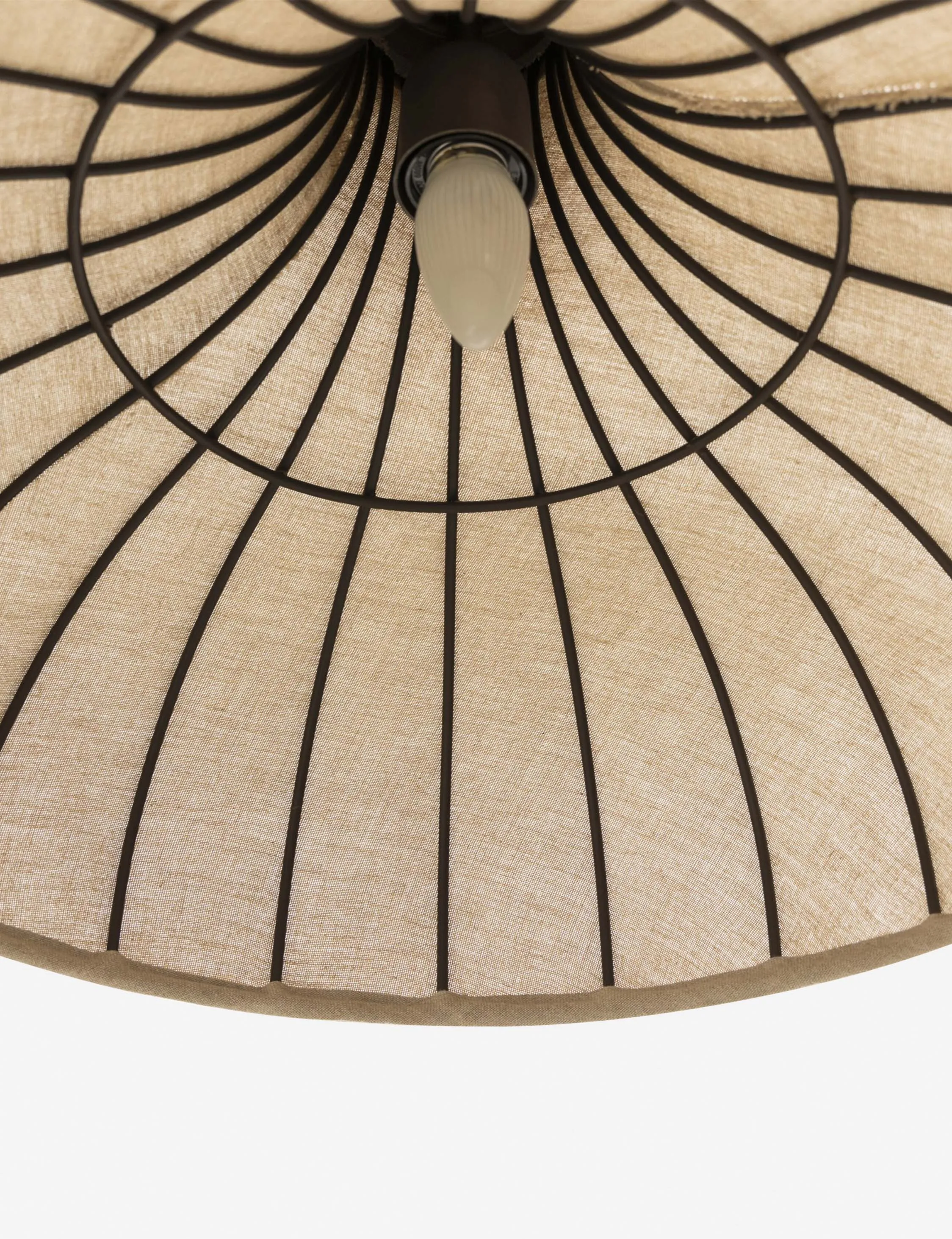 Maisano Pendant Light Lulu and Georgia