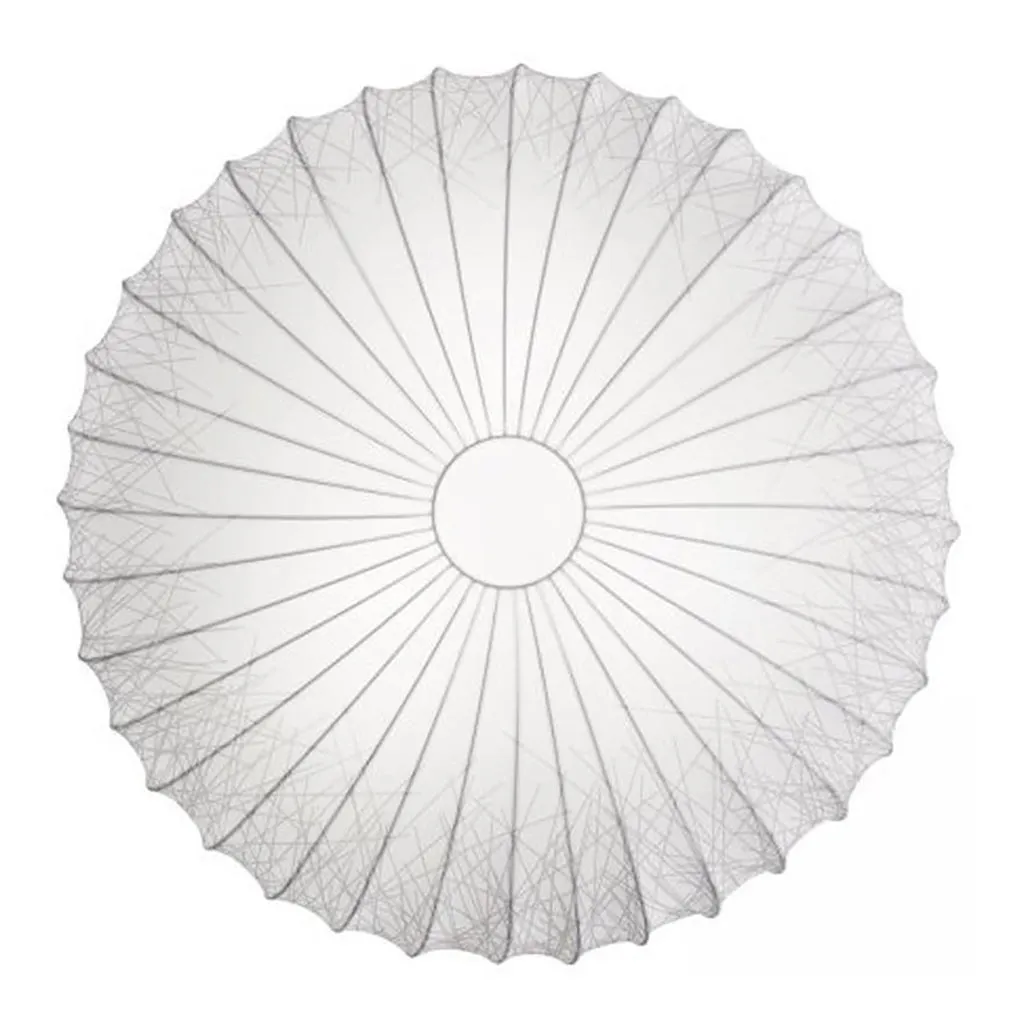 Muse Wall/Ceiling Light