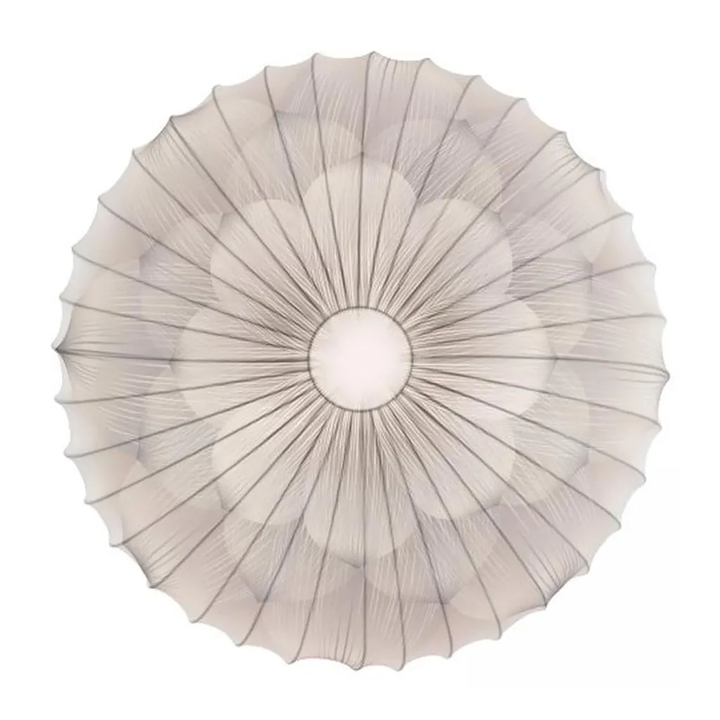 Muse Wall/Ceiling Light