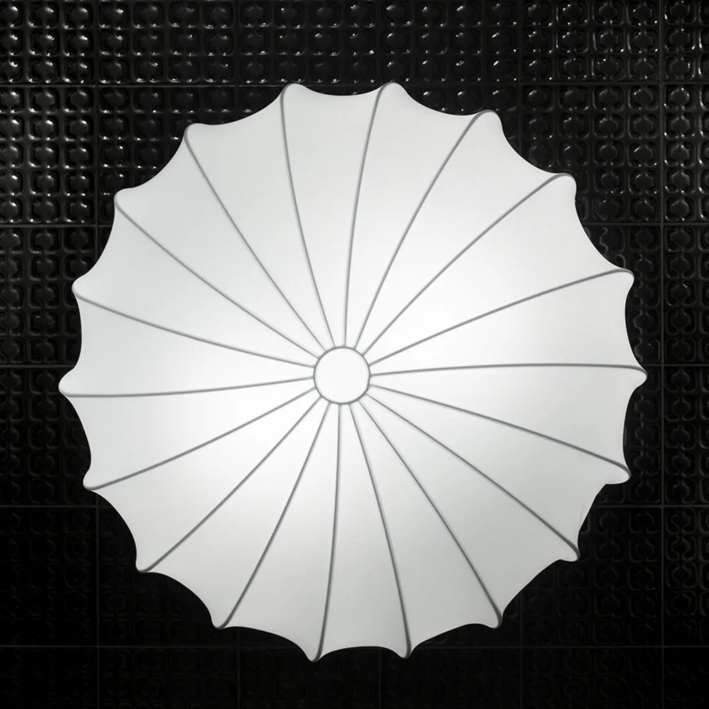 Muse Wall/Ceiling Light