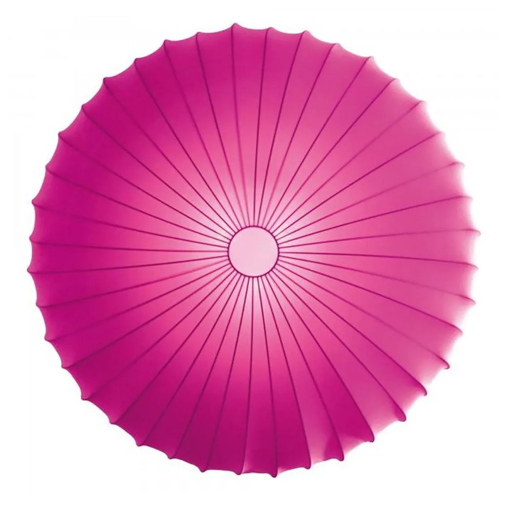 Muse Wall/Ceiling Light