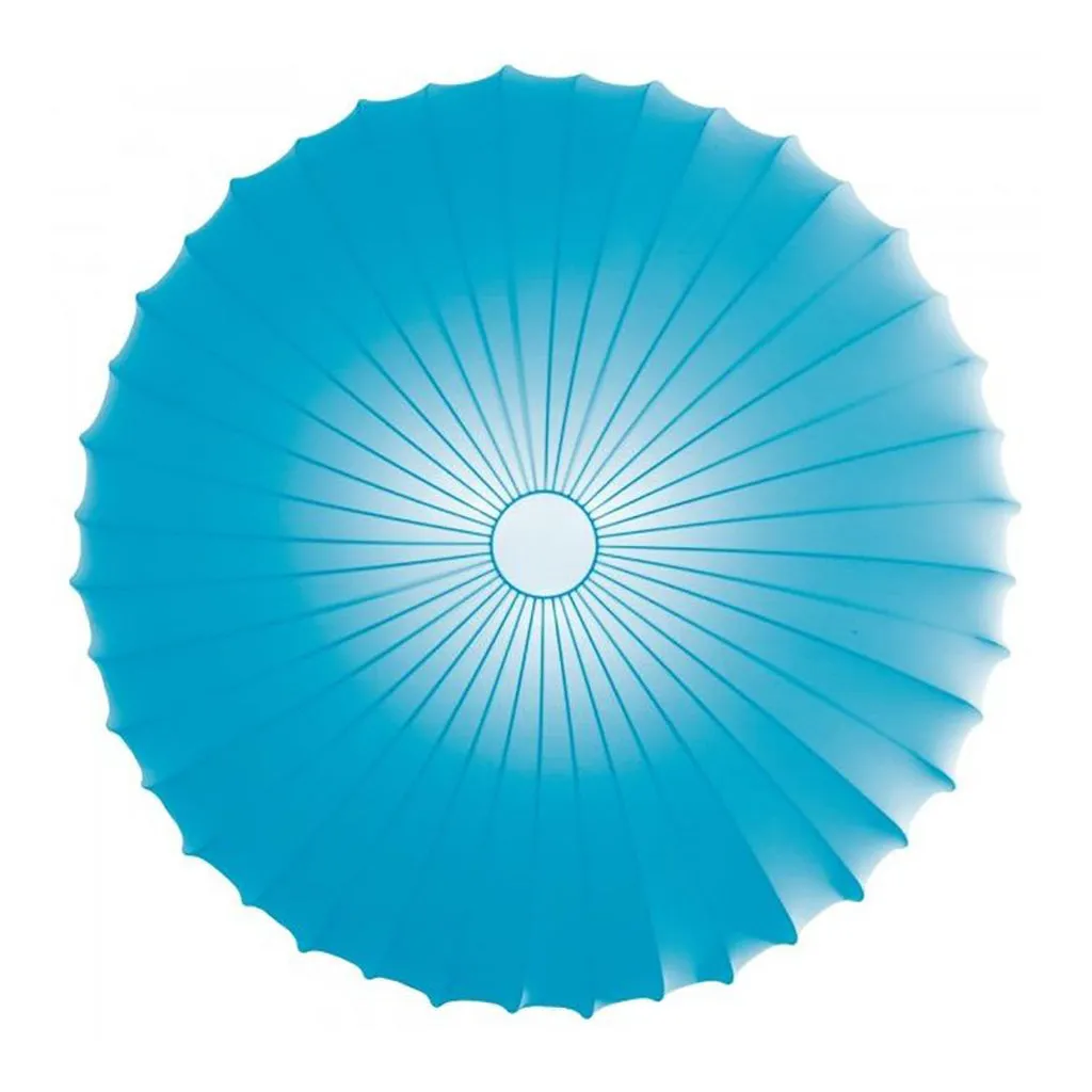 Muse Wall/Ceiling Light