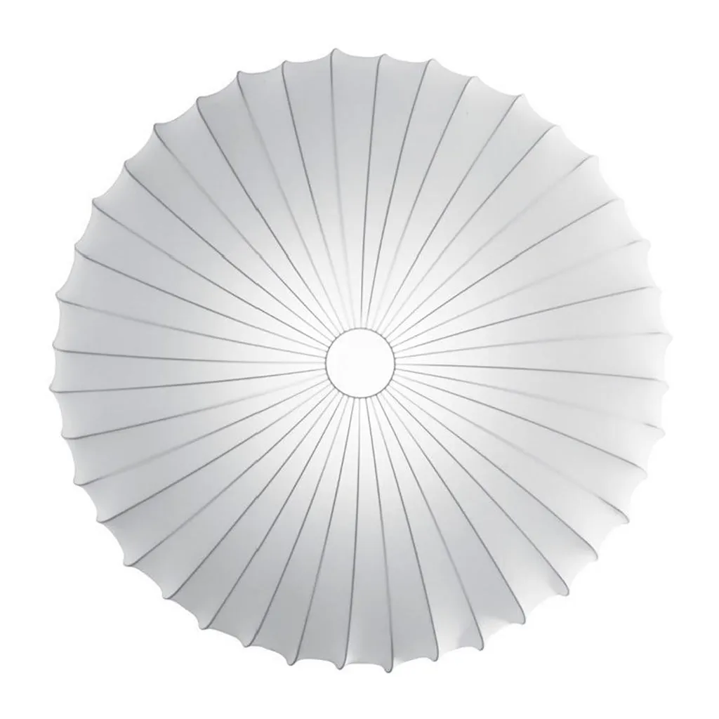 Muse Wall/Ceiling Light