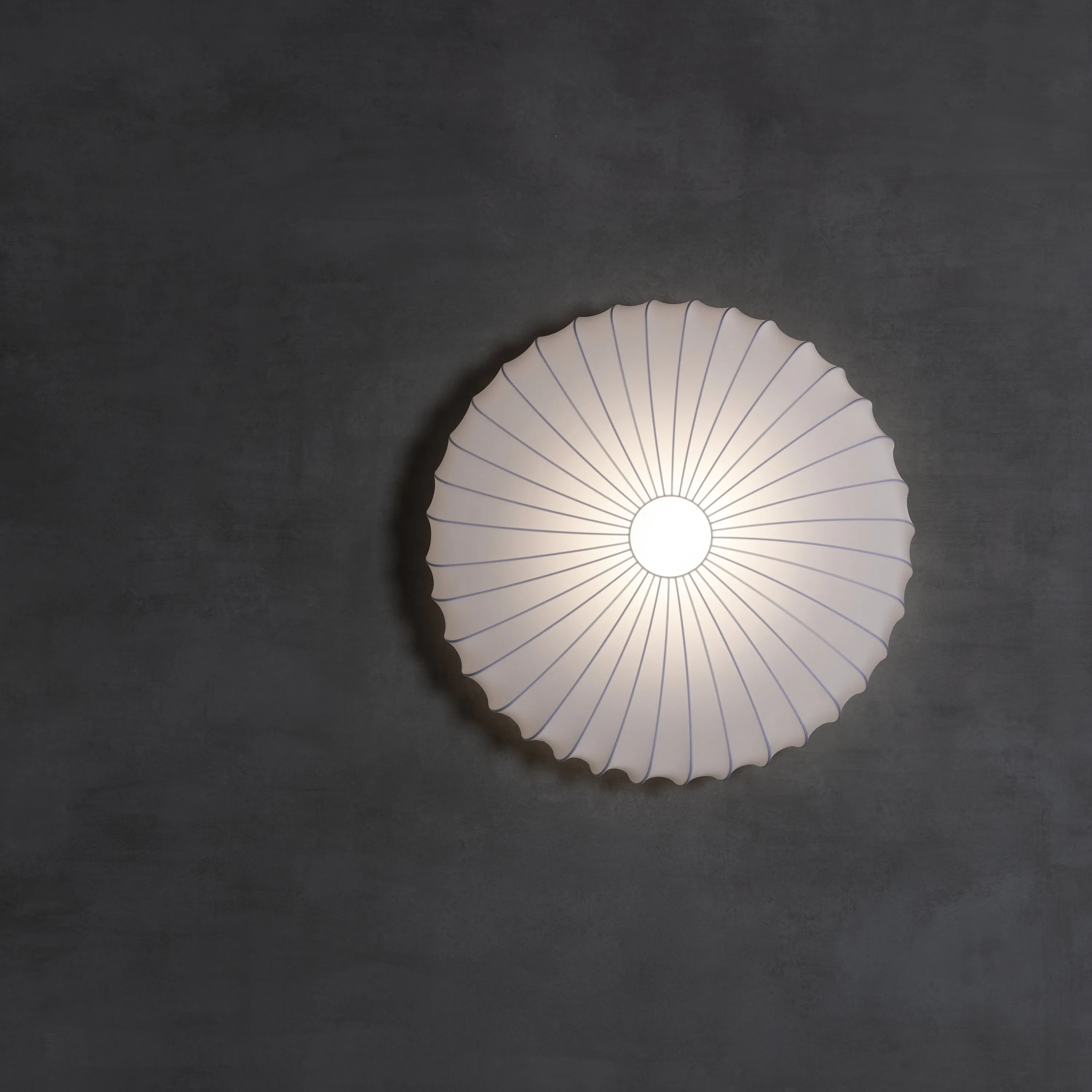 Muse Wall/Ceiling Light