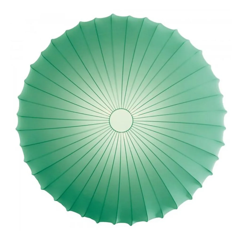 Muse Wall/Ceiling Light