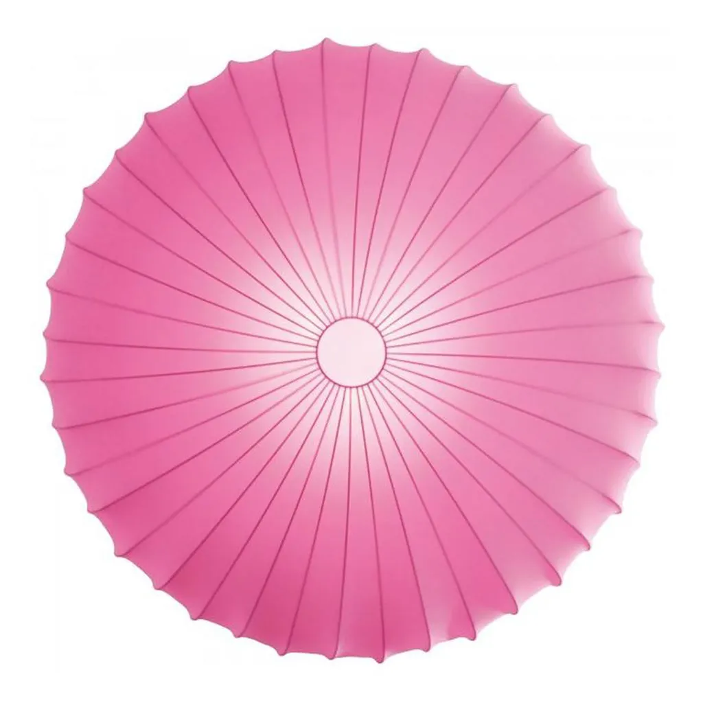 Muse Wall/Ceiling Light