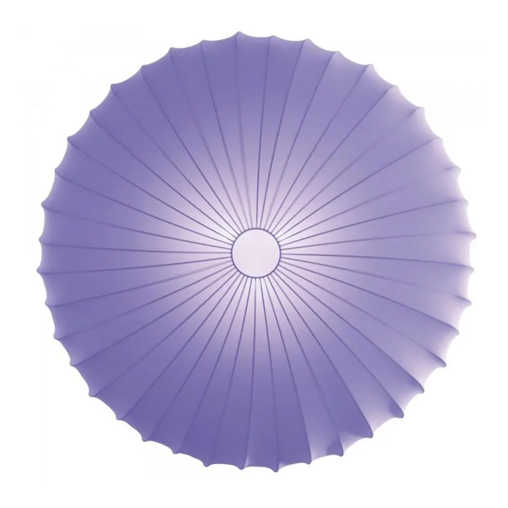 Muse Wall/Ceiling Light