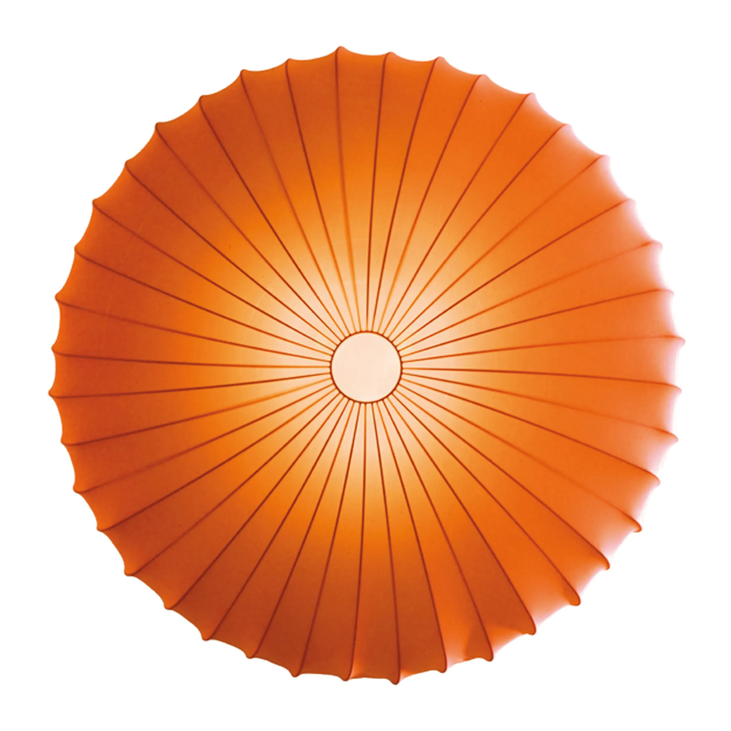 Muse Wall/Ceiling Light