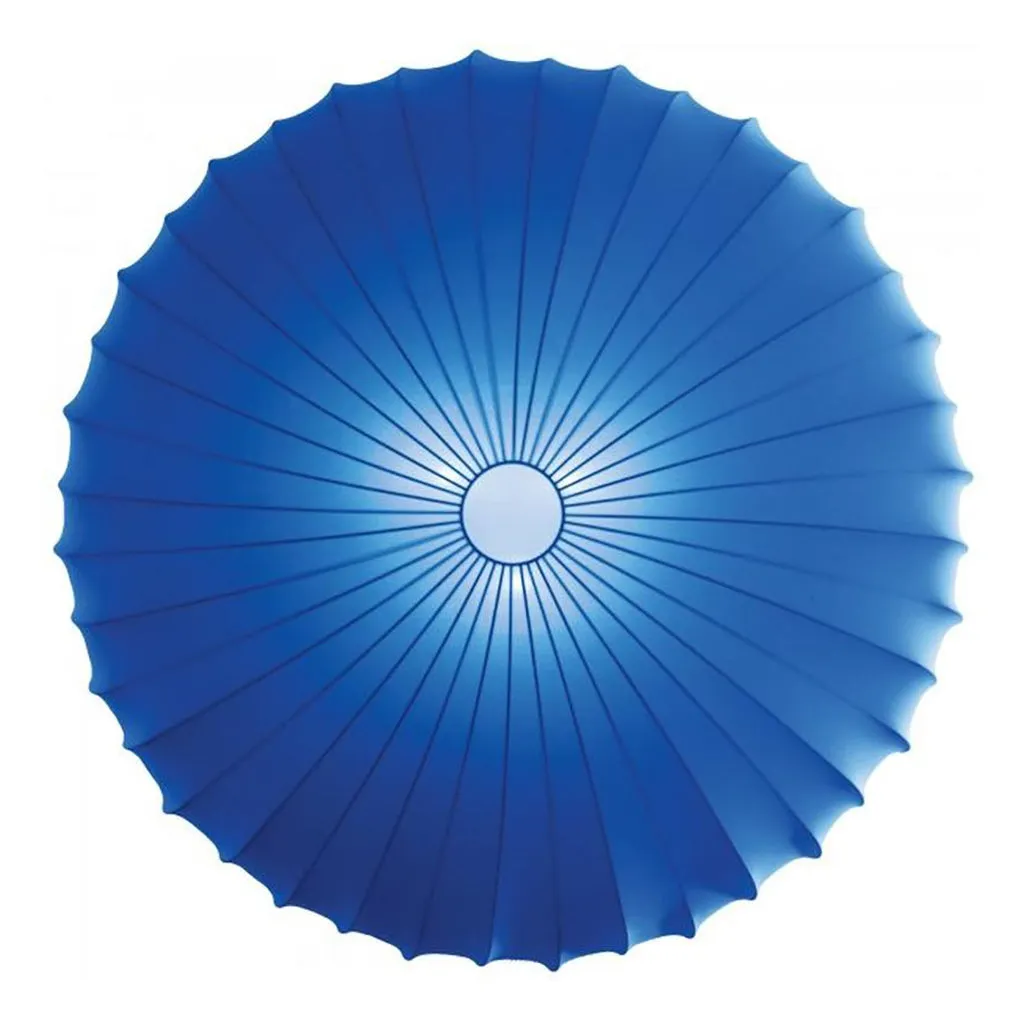 Muse Wall/Ceiling Light