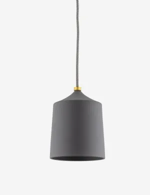 Neda Pendant Light Lulu and Georgia