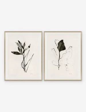 Noir I & II Print by Yuki Osada (Set of 2) Lulu and Georgia