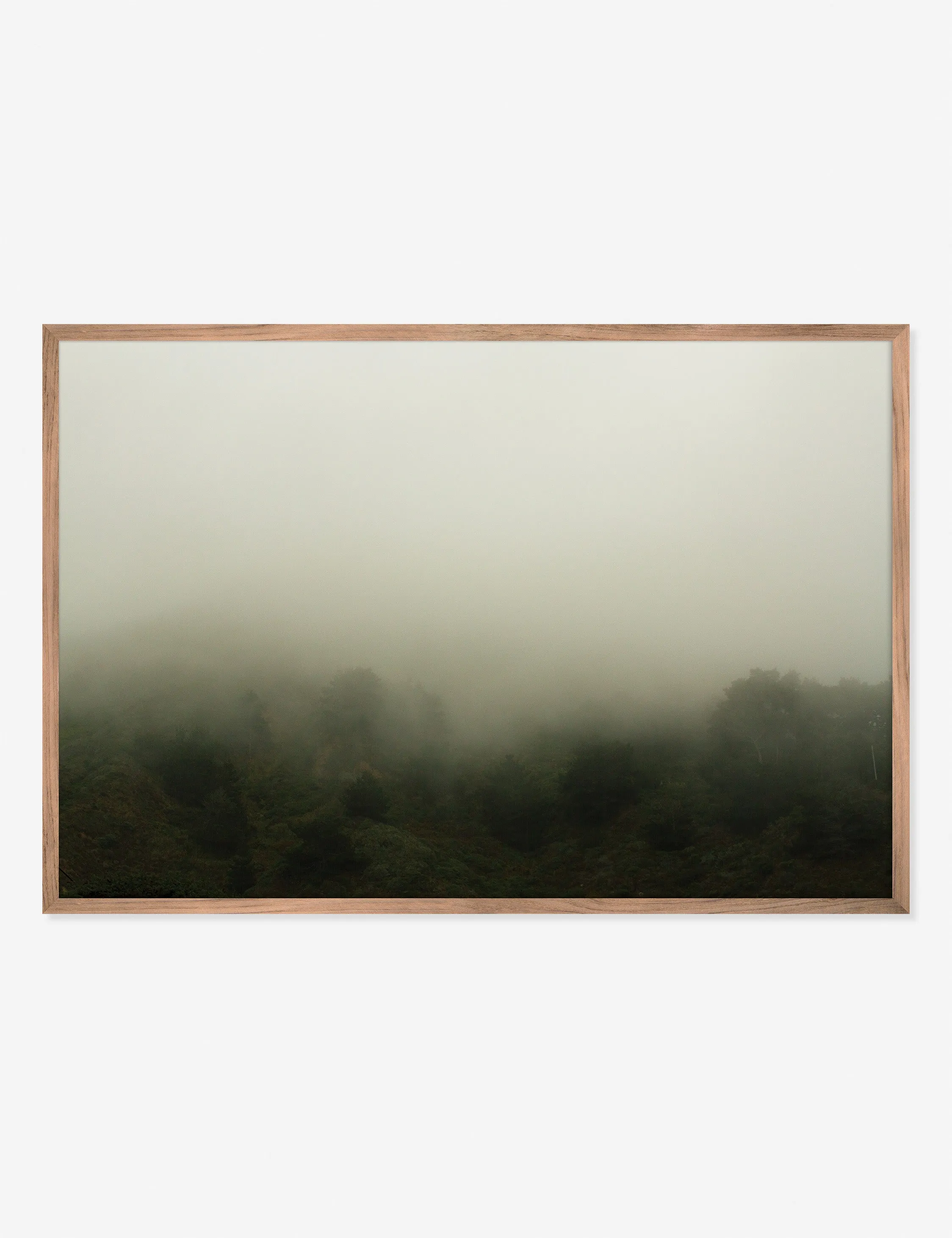 Norcal 10 Photography Print by Flavia Cureteu Lulu and Georgia