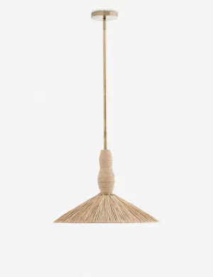 Nubia Pendant Light by Arteriors Lulu and Georgia