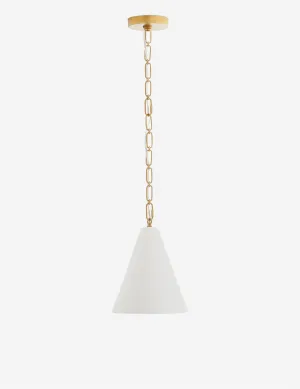 Oakland Pendant Light by Arteriors Lulu and Georgia