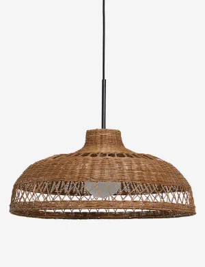 Ochoa Pendant Light Lulu and Georgia