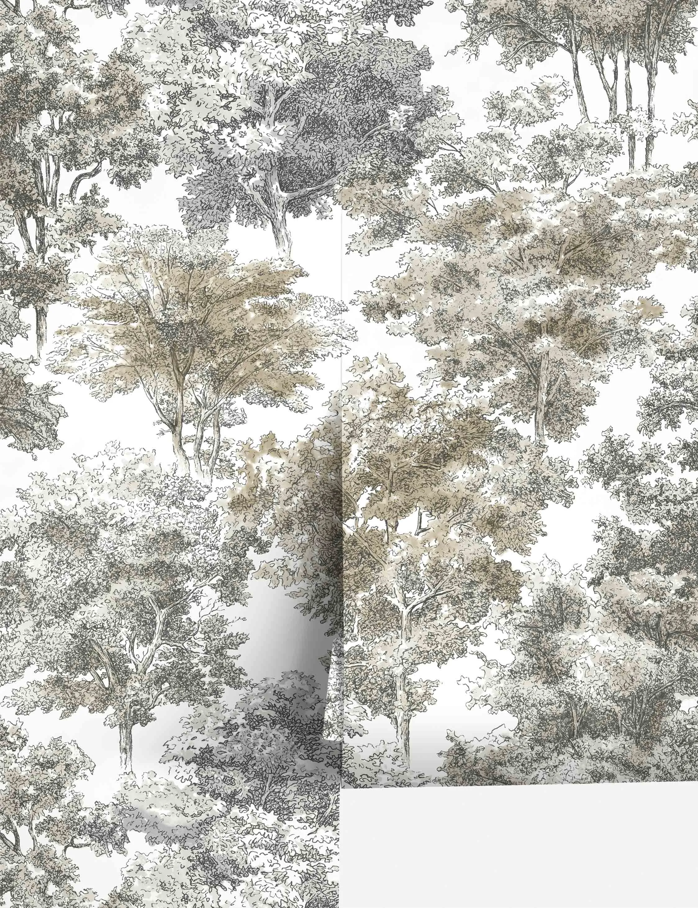 Old World Trees Peel   Stick Wallpaper Lulu and Georgia