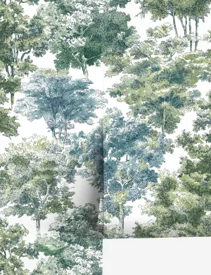Old World Trees Peel   Stick Wallpaper Lulu and Georgia