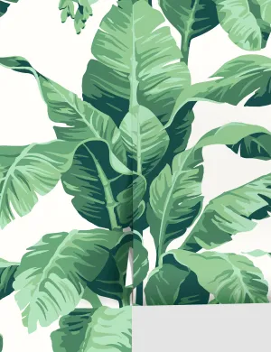 Pacifico Palm Wallpaper by Nathan Turner Lulu and Georgia