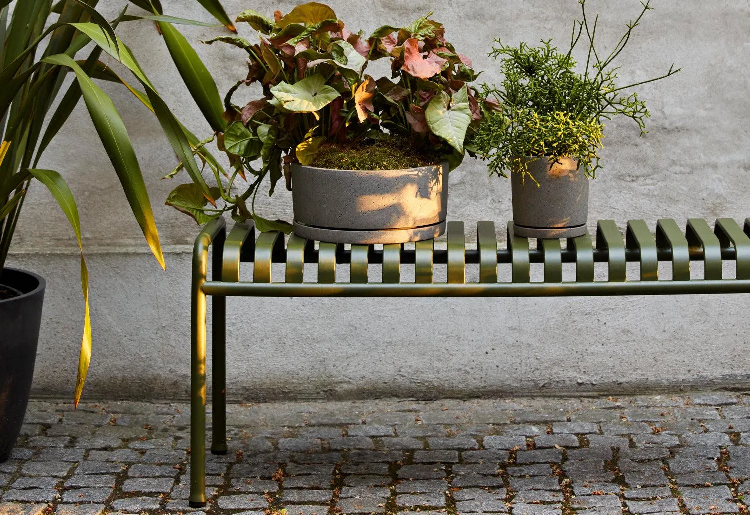 Palissade Bench