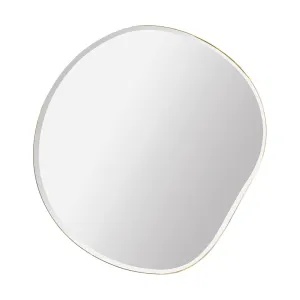 Pond Mirror