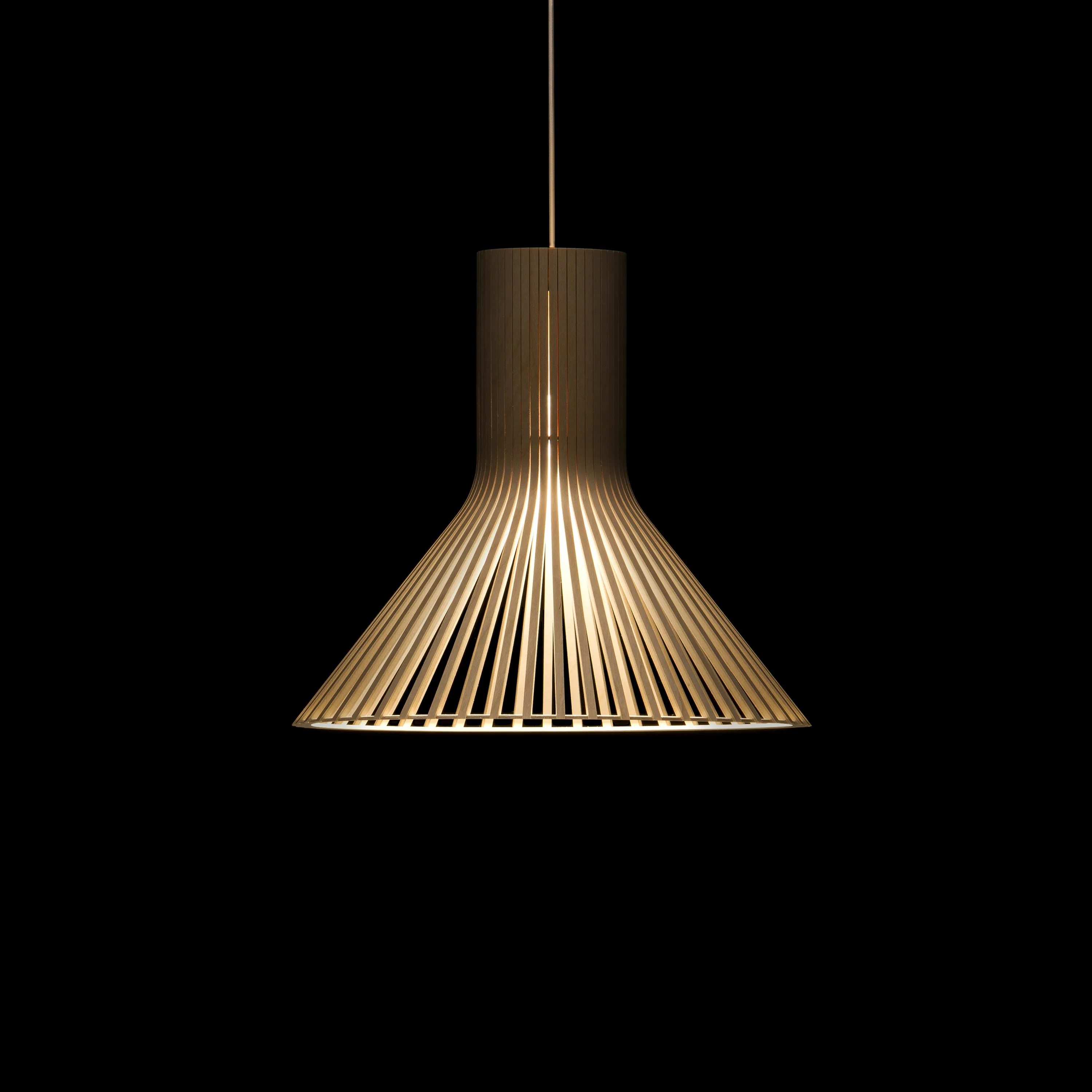 Puncto 4203 Pendant Light