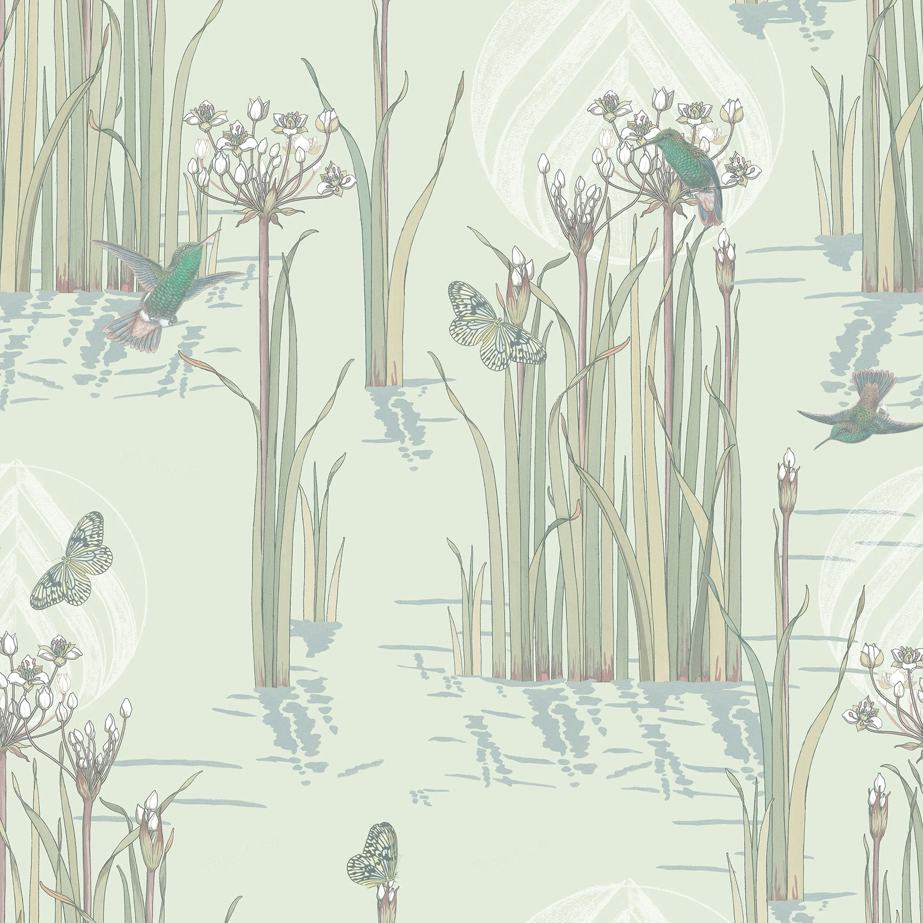 Reed Plants in Water
